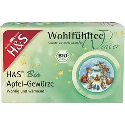 H&S Wintertee Bio Apfel-Gewürze Filterbeutel 20X2.0 g