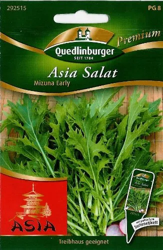 Mizuna, Mizuna Early von Quedlinburger