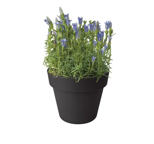 Pflanzgefäß Top Planter Green Basic Ø 40cm schwarz - Garten-Zubehör, umweltfreundlicher Blumentopf aus recyceltem Material, perfekt für eine nachhaltige Begrünung.