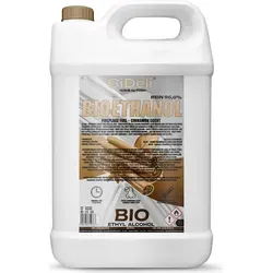GiDeli Bioethanol 5L Zimtduft 96,6% Ethanol Innen & Außenkamine