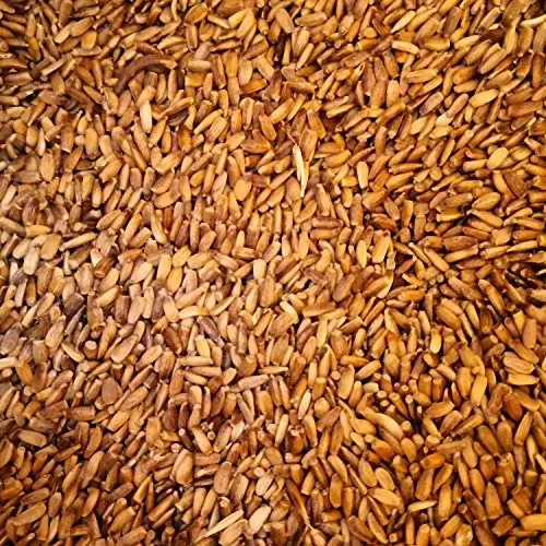 Eurital Mariendistel/Mariendistelsamen/Mariendistelsaat für Pferde, Haustiere, Nager, Vögel, Tauben, Hunde (2,5 Kg)