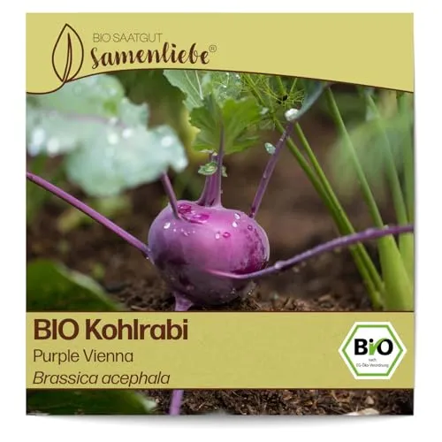 Samenliebe BIO Kohlrabi Samen alte Sorte Purple Vienna leicht nussiger Winterkohlrabi Winterkohl blau lila 200 Samen samenfestes Gemüse Saatgut für Gewächshaus Freiland und Balkon BIO Gemüsesamen