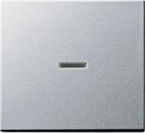 Gira 029026 Wippe Kontrollfenster System 55, alu