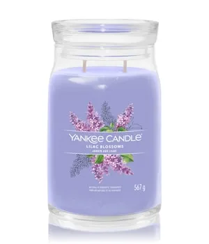 Yankee Candle Lilac Blossoms Duftkerze 567 g - Duftkerze mit dem verführerischen Aroma eines Hains aus Lavendel und Flieder, ideal für entspannte Abende.