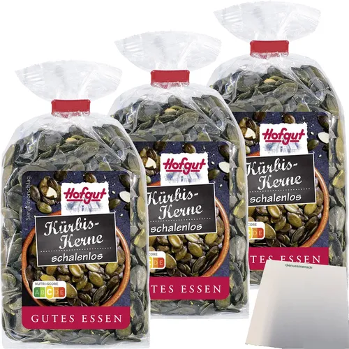 Hofgut Kürbiskerne 3er Pack 3x150g Beutel usy Block