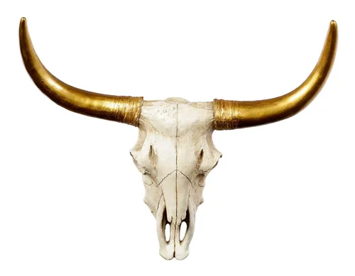 Figuren Shop GmbH Wanddekoobjekt Wandrelief Büffel Schädel - Goldene Hörner - Wanddeko Fantasy Western