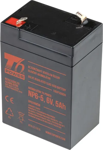 Batterie T6 Power NP6-5, 6V, 5Ah
