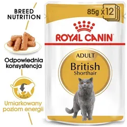 ROYAL CANIN British Shorthair Adult Beutel 12x85g in Soße von Royal Canin
