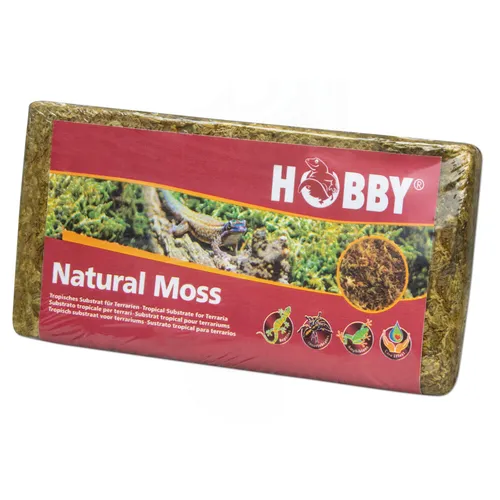 Wasserpflanzen von Hobby