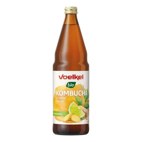 Kombucha - Limette & Ingwer 750ml inkl. 15 Cent Pfand | VOELKEL