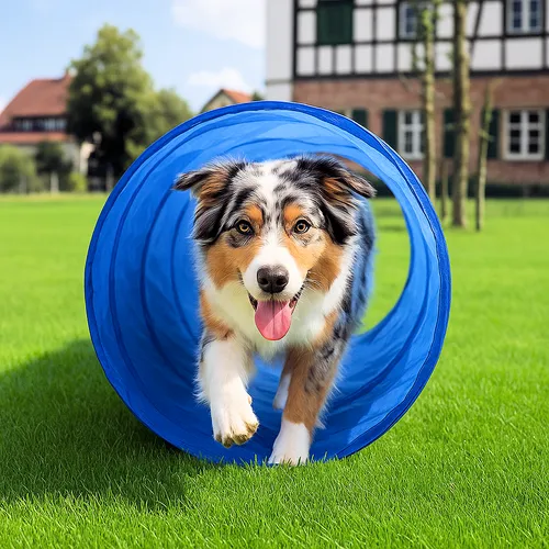 Agility Hunde Sport Tunnel - 55x150cm Spieltunnel Agilitytunnel Hundehöhle  LZ