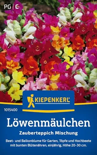 Kiepenkerl Löwenmäulchensamen Zauberteppich 200 Pflanzen von Kiepenkerl