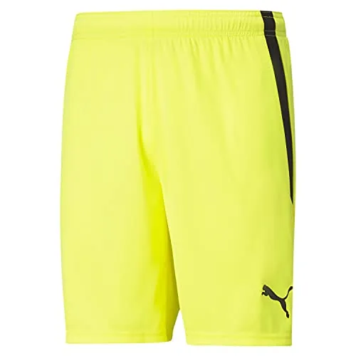 PUMA teamLIGA Shorts