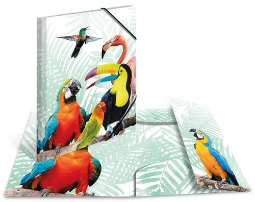 HERMA Sammelmappe A3 Papagei - Bunte Kinder Eckspanner-Mappe aus strapazierfähigem Kunststoff, ideal zum Organisieren und Schützen von Zeichnungen und Dokumenten