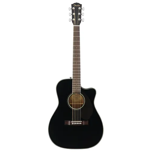 Gitarren Schwarz von Fender