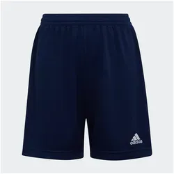 adidas Shorts von adidas