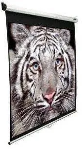 Elite Screens Manual 100