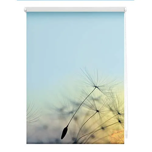 Lichtblick Rollo Klemmfix - Pusteblume Blau 70 x 150 cm - Rollos mit Sicht- und Blendschutz, 100% Verdunkelung, einfach ohne Bohren montierbar für eine schnelle und unkomplizierte Fensterdekoration.