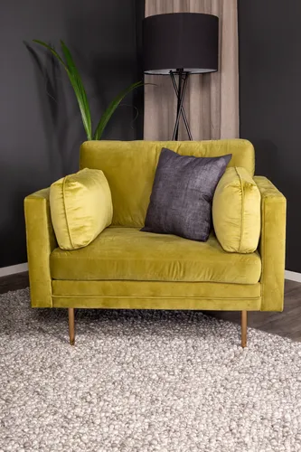 ebuy24 Relaxsessel Boom Velours Sessel grün von Venture Home