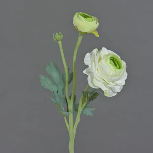 artplants.de Kunstblume Ranunkel Yakira, weiß - grün, 40cm, Ø 4-9cm - Künstliche Blumen