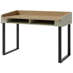 Deine Möbel 24 Kinderschreibtisch ALBI 10 in grün von Dein Schlaf 24