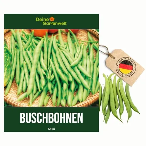 Buschbohnen Saxa Samen von Deine Gartenwelt