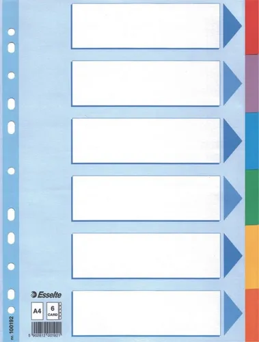 ESSELTE Aktenordner Register A4 160g/qm Karton 6-teilig