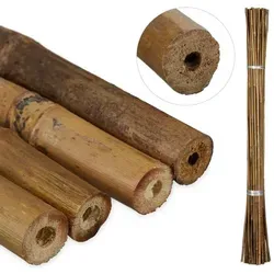Relaxdays 40er Set Pflanzstäbe Bambus 105 cm Hellbraun