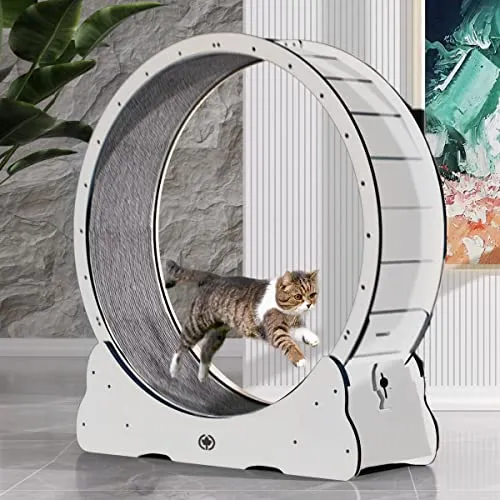 Produktbild CanadianCat Katzenlaufrad aus Holz