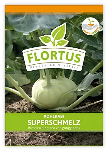 FLORTUS Kohlrabi Superschmelz | Gemüsesamen | Kohlsamen | Kohlrabisamen | Samen zur Anzucht für Garten, Balkon, Küche & Fensterbank