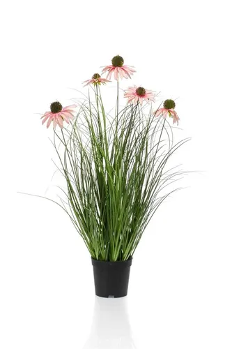 artplants Künstliches Gras Sonnenhut Shalla mit Blüten, rosa, 60cm - Künstlicher Sonnenhut in zartem Rosa, ideal zur Dekoration. Mit lebhaften Blüten und einer Höhe von 60 cm bringt er Farbe in Ihr Zuhause.