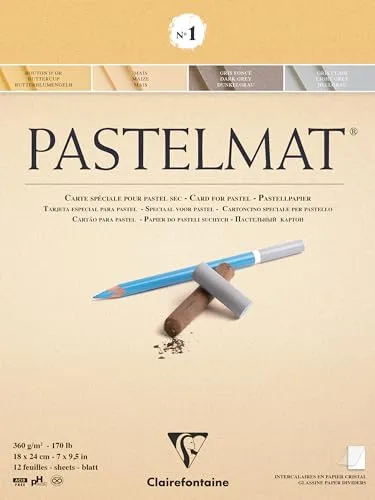 Clairefontaine 96016C Zeichenblock Pastelmat (12 Blatt, 18 x 24 cm, 360 g, mit 4 transparenten Trennblätternmit, Spezielkarton ideal fur Pastell und Kreide) hellgelb, gelb, dunkelgrau und hellgrau