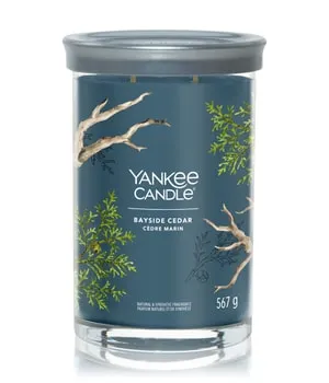 Yankee Candle Bayside Cedar Signature Large Tumbler in blau von Yankee Candle