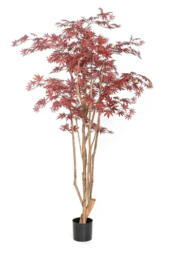 Kunstbaum Japanischer Ahornbaum ILIANU, 240cm rot - Echter Stamm und detailreiche Blätter machen diesen 240cm hohen Kunstbaum zum Blickfang in jedem Raum. Perfekt für die Innenraumgestaltung und pflegeleicht!