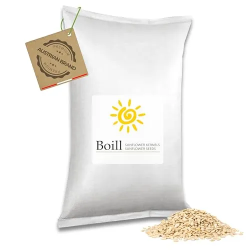 Boill Sonnenblumenkerne geschält, Premiumware