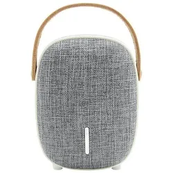 Leicke DJ Roxxx Venus Bluetooth-Lautsprecher mono (Bluetooth, 5 W, Radio, kompakte Größe, staubgeschützt, spielt MP3s und WAV-Dateien)