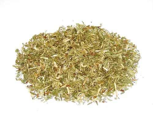 Bärlappkraut Kräuter Tee 1 kg in grün von Tee Meyer