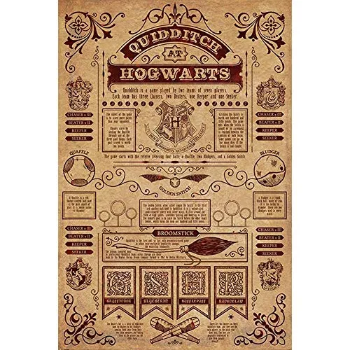 Pyramid International Harry Potter Quidditch at Hogwarts Unisex Poster multicolor