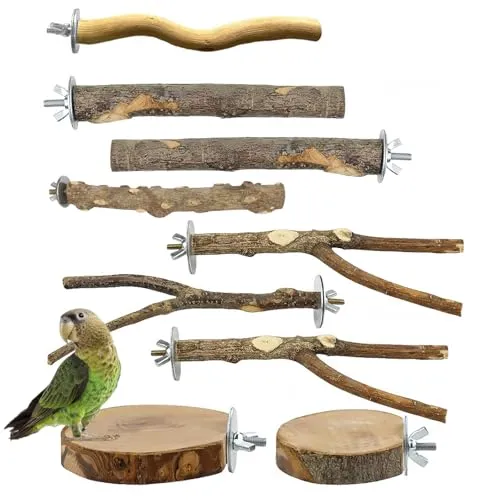 Vogelleitern & -sitzstangen von ECVUKQ