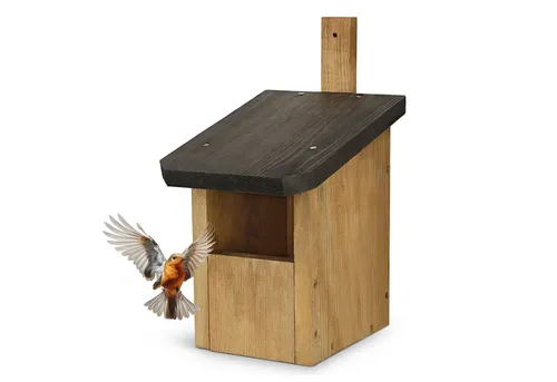 Waldfunk Nistkasten Halbhöhle für Rotkehlchen & Co. von Waldfunk