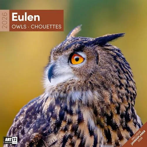 Eulen Broschürenkalender 2026 - 30x30 - Art12 | Stilvoller Tier-Kalender im schlanken Hochformat (aufgeklappt 30x60 cm) | mit Eintrage-Kalendarium