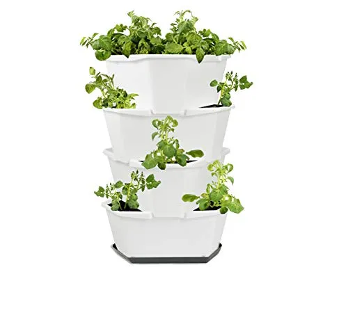 GUSTA GARDEN Paul Potato Starter Kartoffelturm - stapelbar - Hochbeet/Pflanzgefäß/Blumentopf für Balkon, Garten und Terrasse (4 Etagen, Weiß) inkl. Untersetzer
