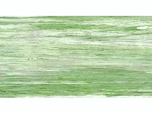 Knorr prandell Wachsplatte17,5x8cm gemust.grün