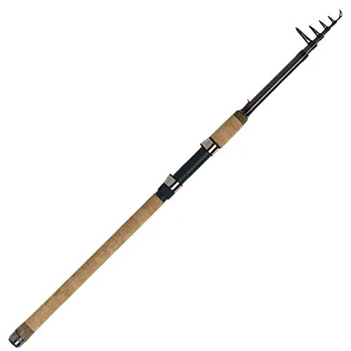 WFT Fischrute River Tele 2,70m 50-150g Allroundrute