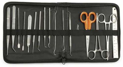 Pollin Electronic Feinwerkzeug Set 17-teilig aus Edelstahl - Praktisches 17-teiliges Set für Bastel- und Modellbauprojekte. Robust und vielseitig, inklusive Zangen, Scheren und Modellierwerkzeugen in einer handlichen Tasche.