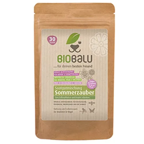 Biobalu Sommerzauber - Bunte Blumenwiese Samen - Über 40 Sommerblumen zum Schneiden & Pflücken, Sommerblumenmischung, Schnittblumen Samen, Blühwiese mehrjährig & bienenfreundlich, Blumensamen 30 g
