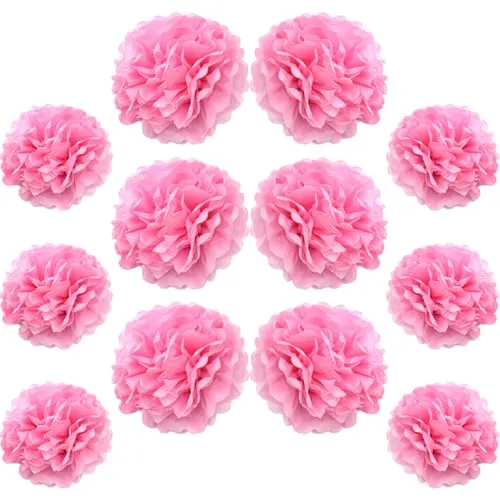 Ruidee 12 Stück Seidenpapier Pompoms 10in and 12in Papier Blumen Ball Dekorpapier Kit Papierblumen Pom Poms für Hochzeit,Geburtstage,Party Dekorationen (ZH/Pink)