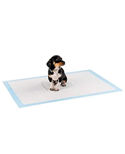 lionto Welpenunterlagen 6-lagig, 100 Stück 60x90 cm von lionto