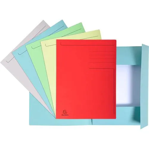 Exacompta 448000E 10er Pack Einschlagmappen Forever