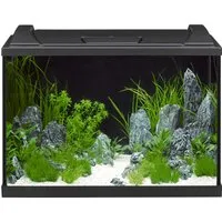 EHEIM Aquarium-Set Aquapro LED 84, Schwarz in schwarz von EHEIM